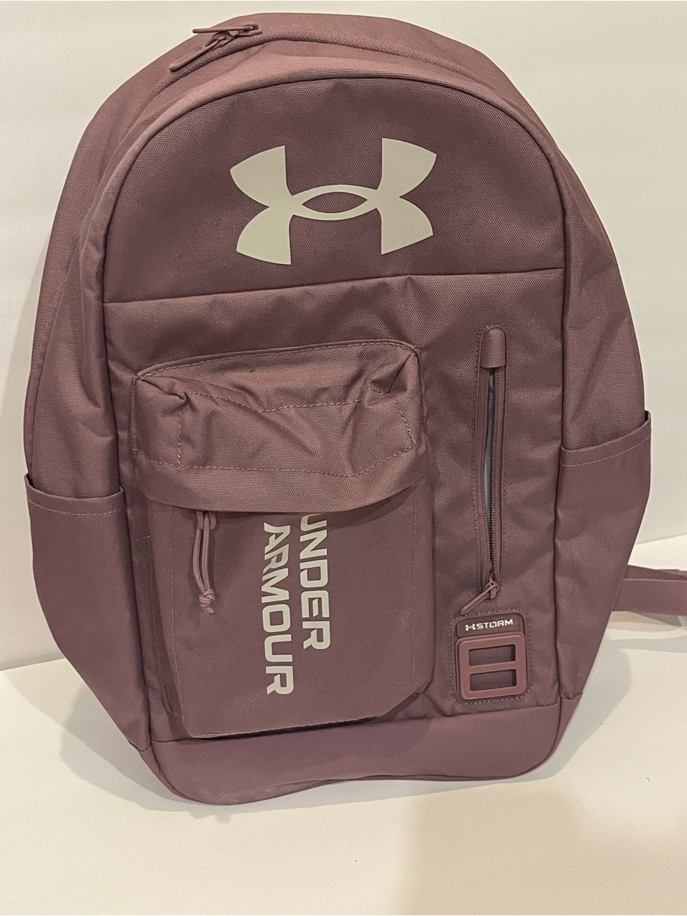 Under Armour Plum/Mauve Everyday Backpack